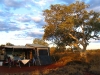 Campsite at Savannah campground, Karijini Eco Retreat, with resident Snappy Gum