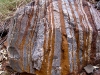 Patterned boulder, Dales Gorge                                                          