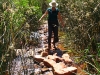 Will she fall in?  Nirbeeja crosses stream during bushwalk to Crossing Pool