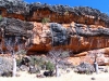 Guardian Boabs in front of a sacred Wandjina rock-art site, near Windjana Gorge, the Kimberley